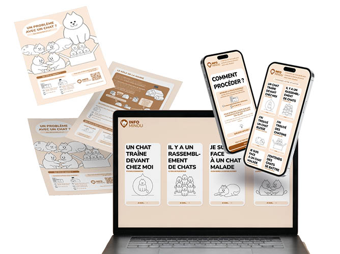Mockups